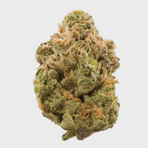 RD - SWISS WATCH - BULK PLATINUM TIER BUD