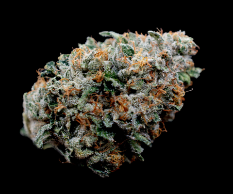 The cut - Triangle Kush - 3.5g Flower