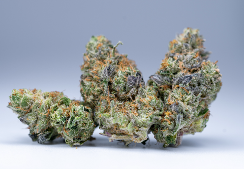 Watermelon Mimosa Zkittles Flower 3.5g