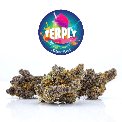 Terply | Indica-Hybrid - | Half-ounce