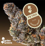 Peanut Butter Trix 3.5g Flower