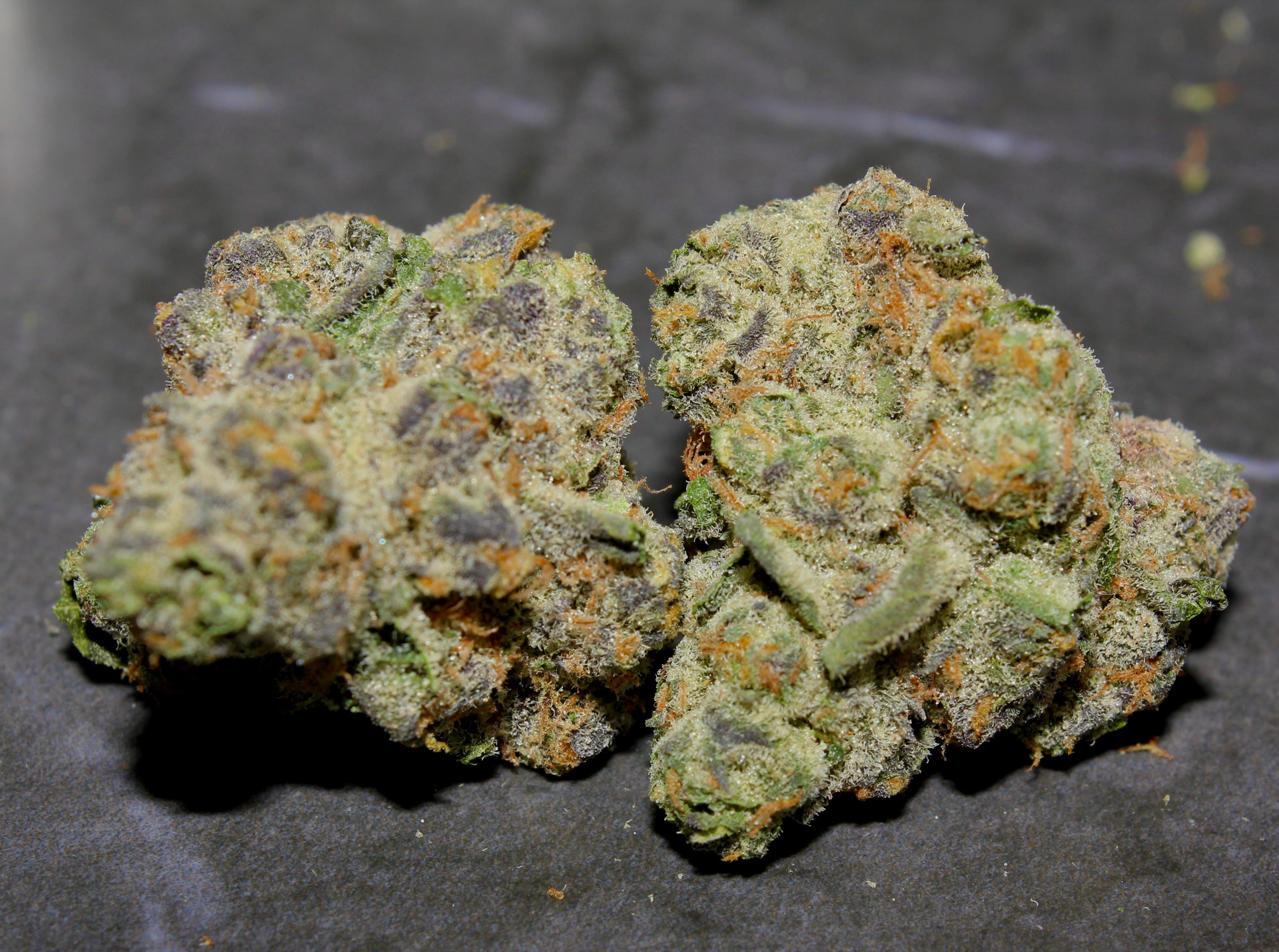 Apple Pie (H) - Prepack Shake Grams