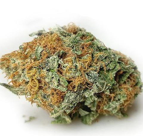 G13 Genius Flower