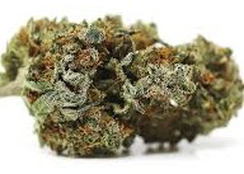 Big Detroit Energy Flower