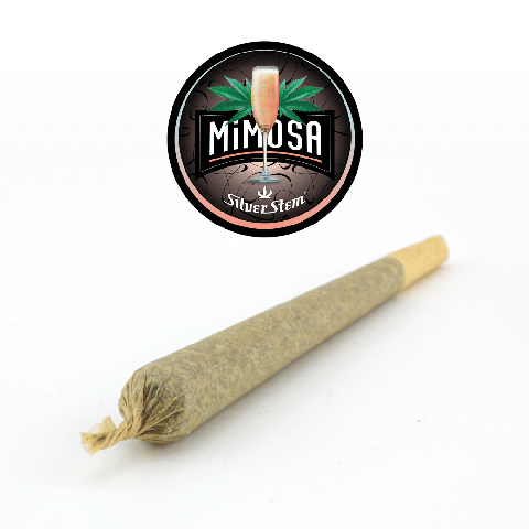 Mimosa Preroll | Sativa - | Preroll 1g