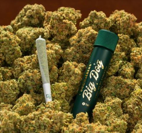Dogwalkers - Animal Face - 1g Pre Roll