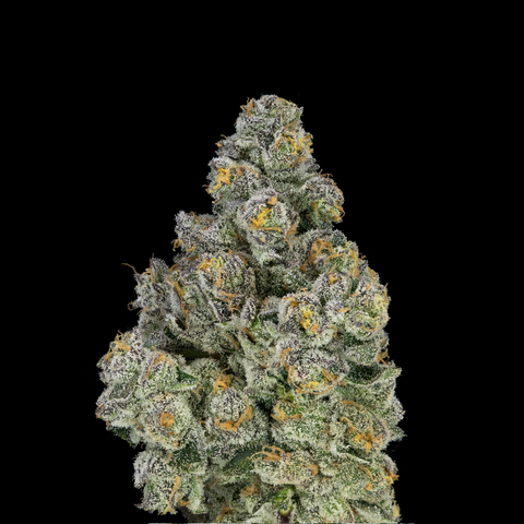 FlOS Cannabis | SharpieZ | 14g Pre-Package Flower