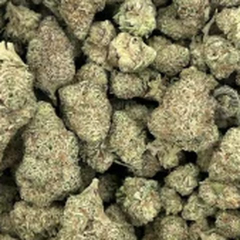 SEED & SMITH - CHIMERA #3 - BULK GOLD TIER BUD