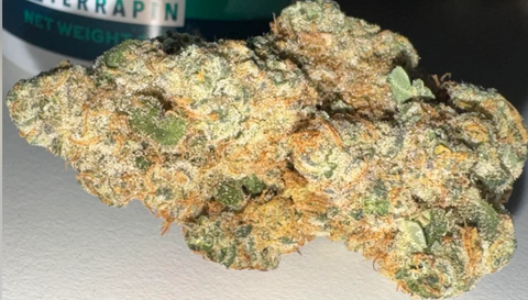 COSMOS - BLUE GARLIC - BULK PLATINUM TIER BUD