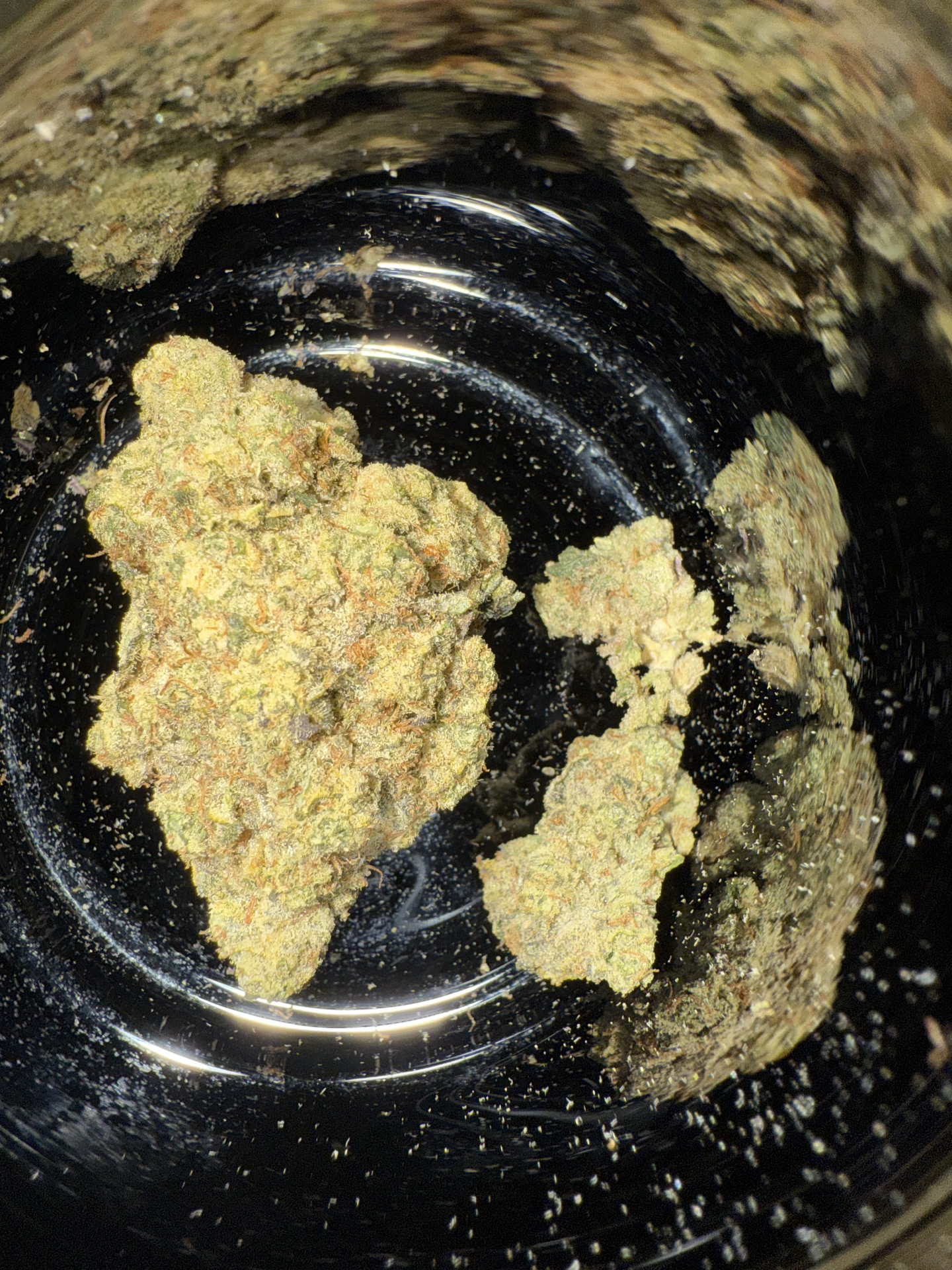 Pave | Arbor House Collective - 28g