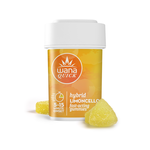 Wana Quick Gummies | Hybrid Limoncello 100mg Rec
