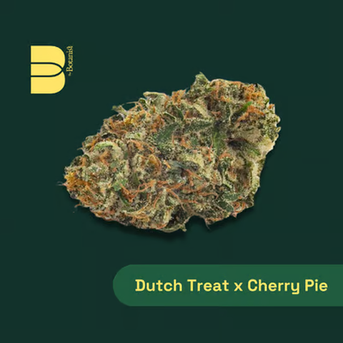 Dutch Cherry Treat Pie 3.5g Flower