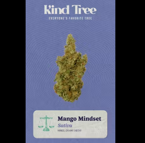 Kind Tree- Mango Mindset-3.5g-Flower