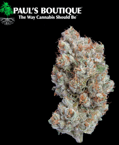 Skywalker 3.5g Flower