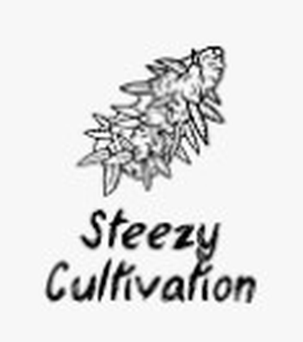 Raspberry Lime Seltzer 10mg - Steezy