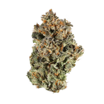 Magic City - Dirty Taxi - Flower