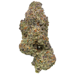 Magic City - Oreoz x Zero Gravity - Flower