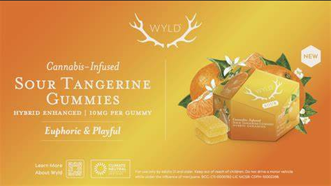 WYLD - Sour Tangerine Gummies - 100mg - 10ct