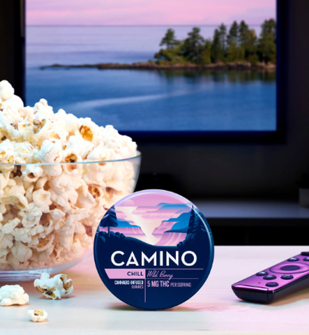 Camino - Wild Berry - Edibles - 20pk/100mg
