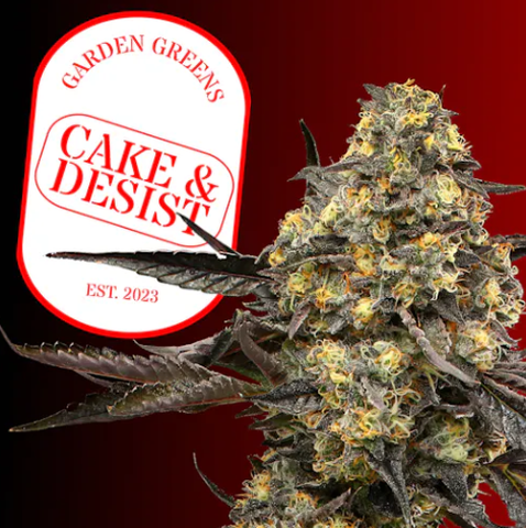 Pete's Farmstand - Cake & Desist - 1g Pre Roll