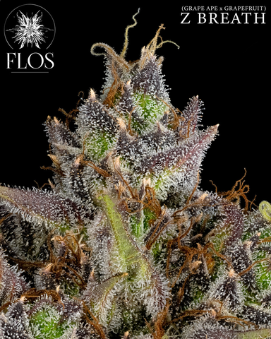 Flos | Z breath | Deli style
