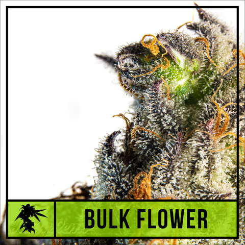 NATTY - MEMBER BERRIES - BULK SILVER TIER BUD