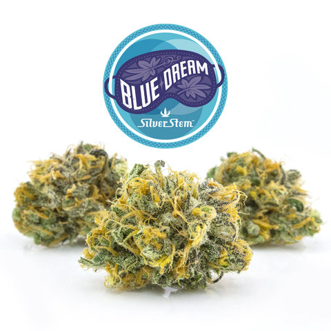 Blue Dream | Indica-Hybrid - | Eighth