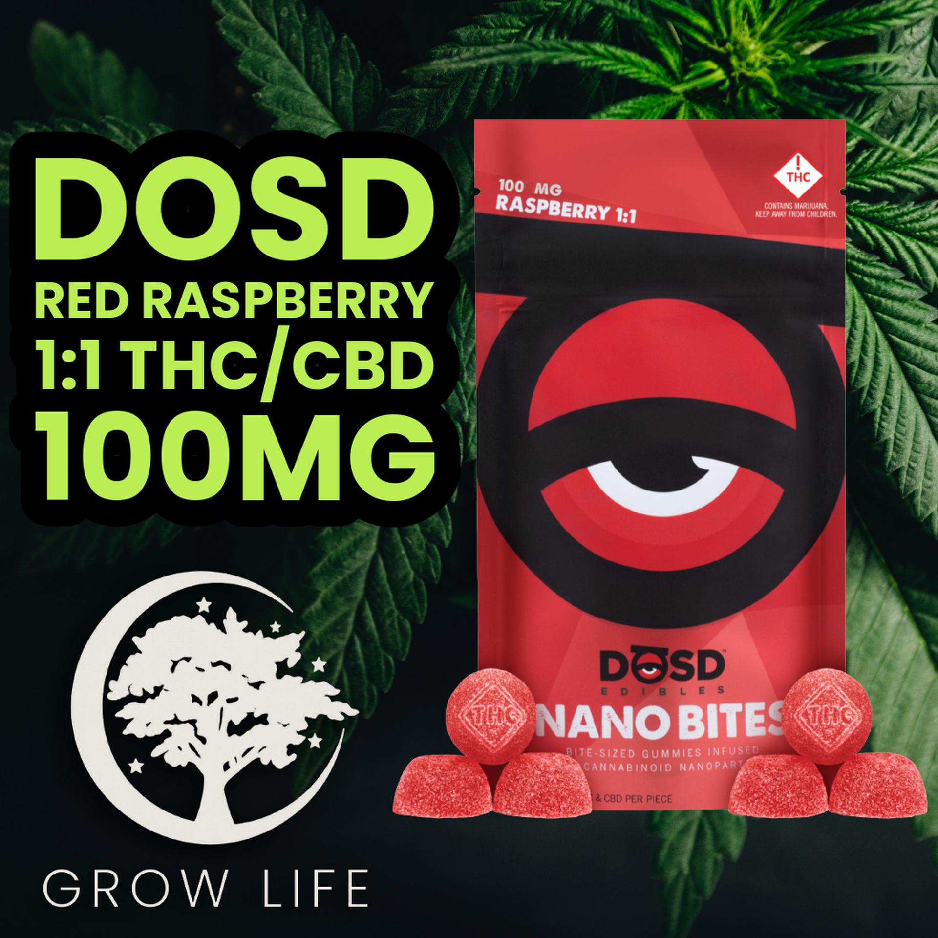 DOSD Gummies Red Raspberry 1:1 100mg (REC)