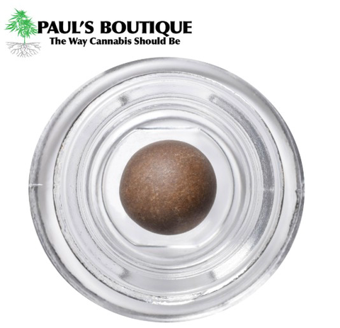 Thai x ECSD - Paul's Boutique - Traditional Hashish - 1g
