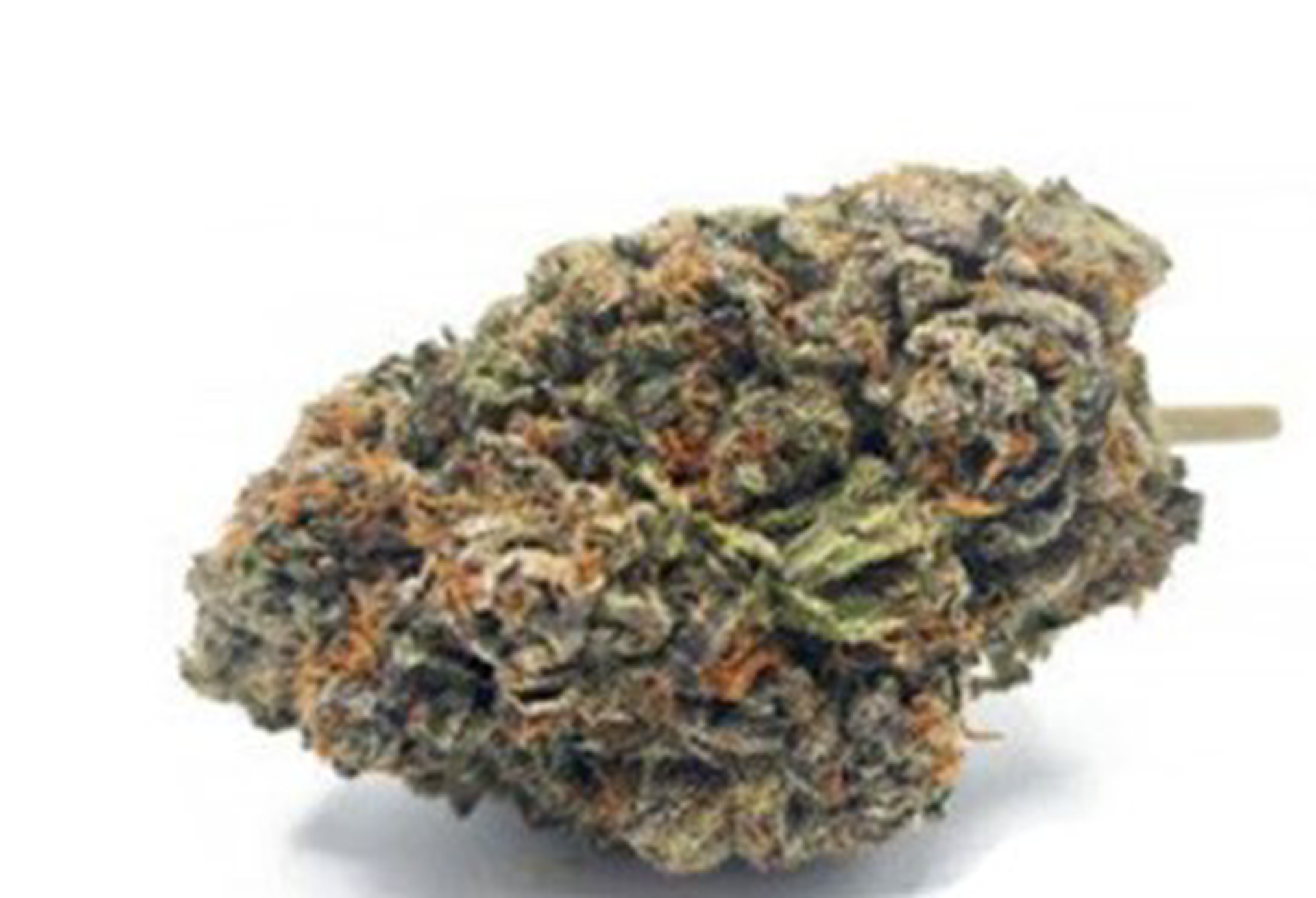Black Panther 7g