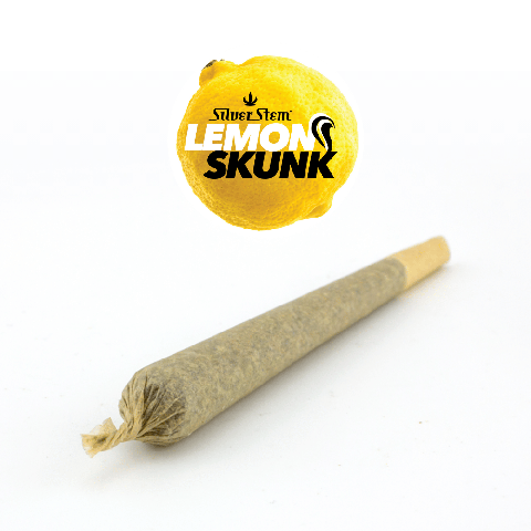 Lemon Skunk Preroll | Sativa-Hybrid - | Preroll 1g