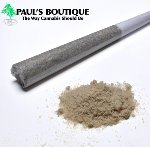 Hash Infused Grapeology with GMO Hash - Paul's Boutique - Pre-Rolls