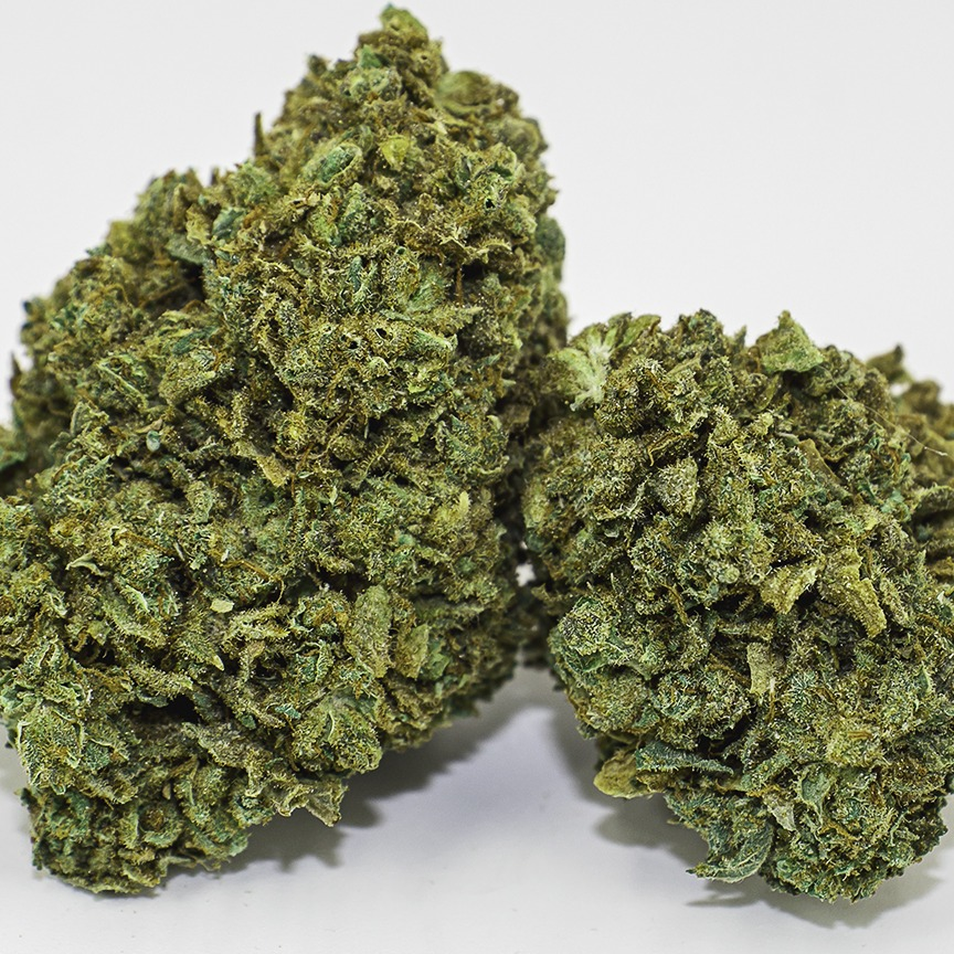 Night Nurse (Med) - Bulk