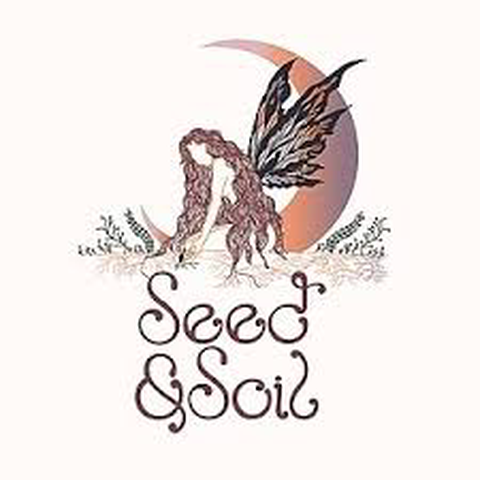 Seed and Soil - Lemon Telescope Auto Feminized Seed - 5 Pack