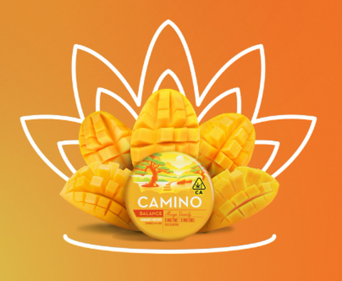 Camino - Mango Serenity - THC:CBD 1:1 - 20 pk Gummies