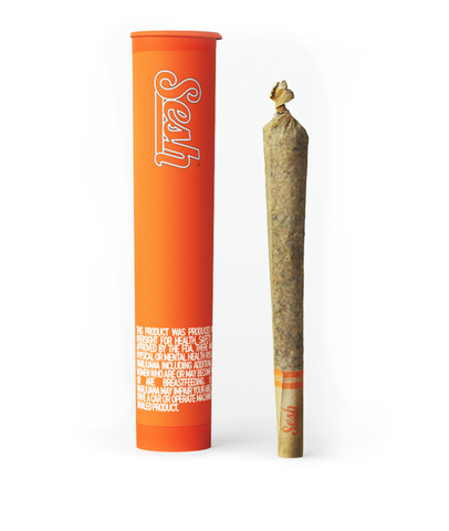 Craft 710 Sesh Infused Cone | Gary Payton x Garlicane 0.75g Rec