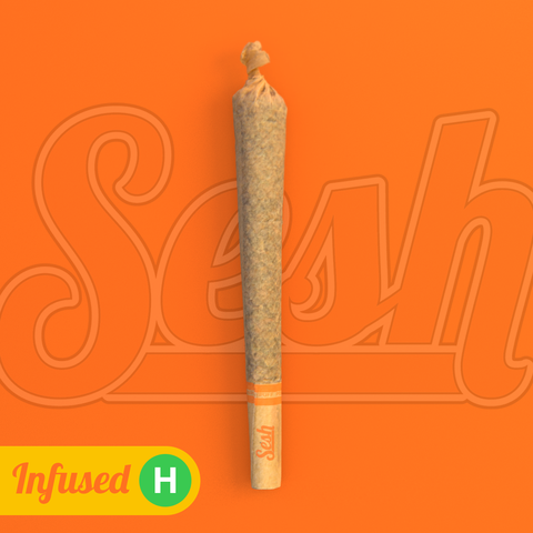 SESH - 0.75 BOLO RUNTZ X PURPLE KUSH - INFUSED CONE