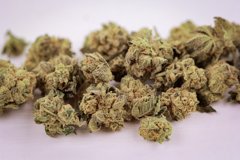 POT ZERO - GLUE'S CLUES - BULK COPPER TIER BUD