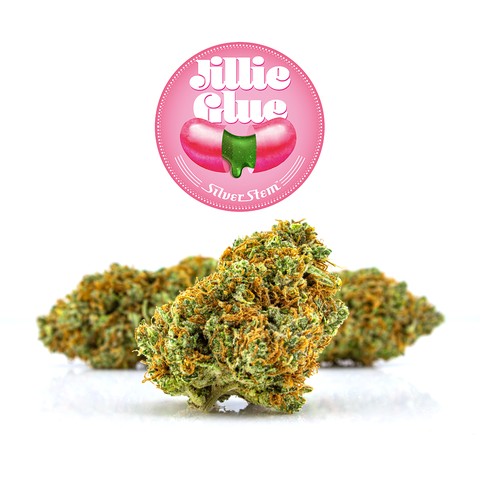 Jilly Glue | Hybrid - | Eighth