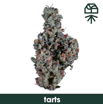 Grassroots Flower 3.5g- Tarts