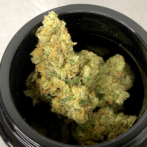Strawberry Blondie - Garden Select