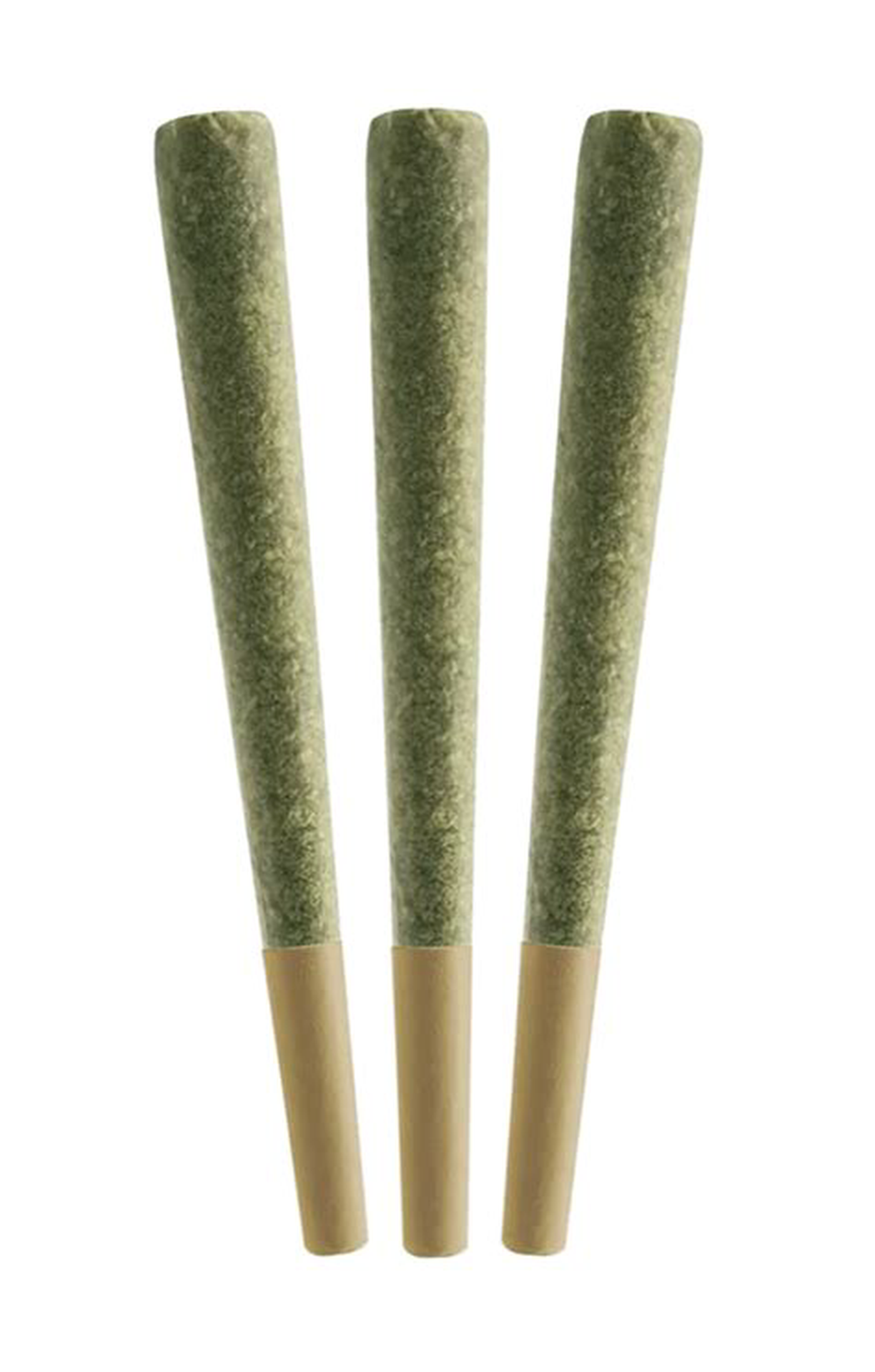 Nuclear Cookies 1g Pre-Roll