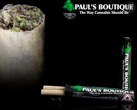 African Orange - Paul's Boutique - Pre-Rolls - 1g- 2 Pack .5g