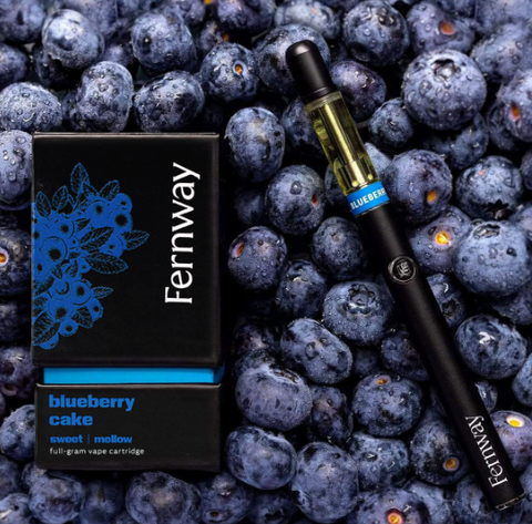 Fernway - Blueberry Cake - 1.0g Cart