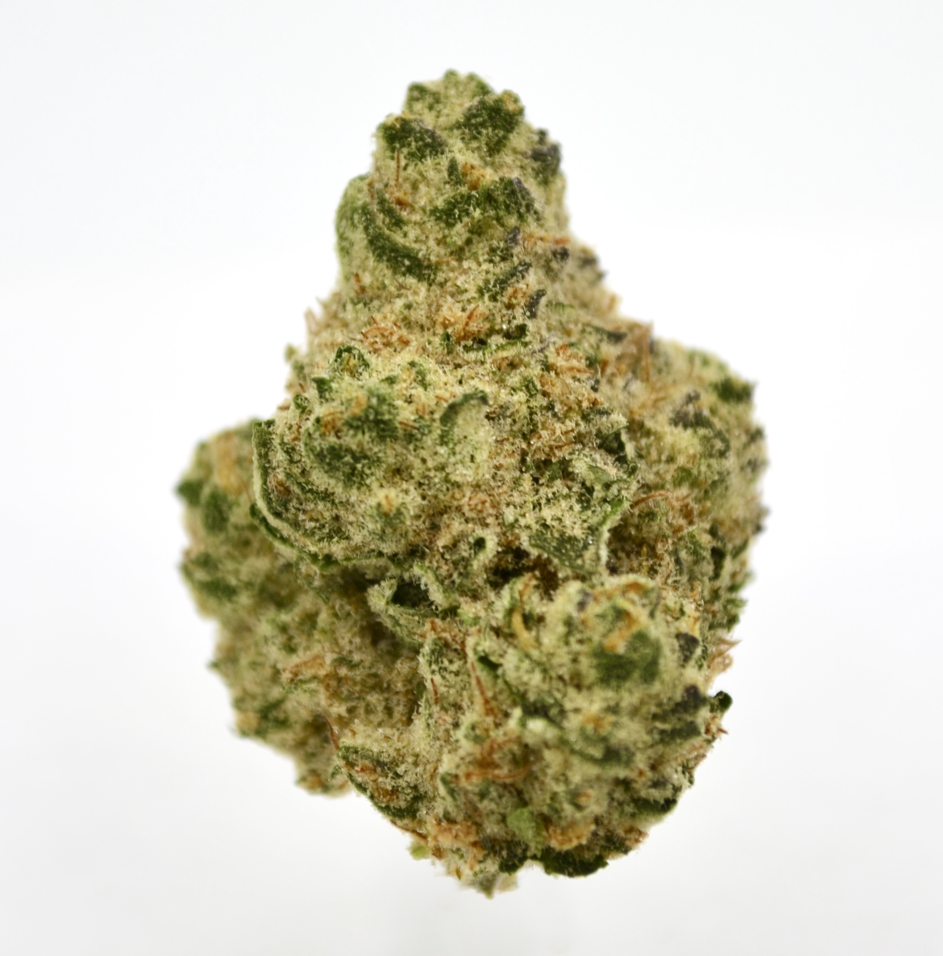 *Banana Kush Cookies (S) - Bulk