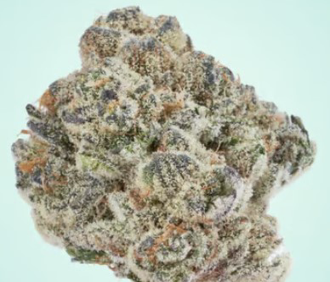 MAC Stomper Flower 3.5g