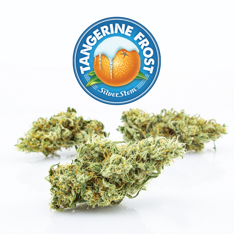 Tangerine Frost | Sativa - | Eighth