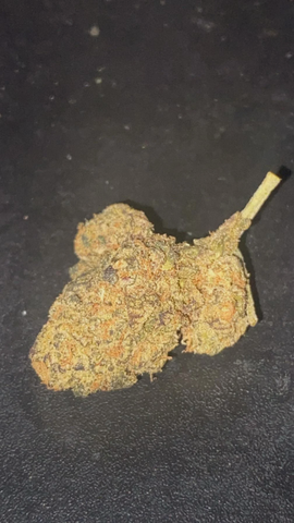 COSMOS - SUPA DURBAN - BULK GOLD TIER BUD