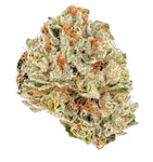 Magic City - Gelato Cake - Flower