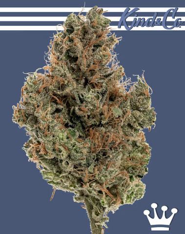 Kind & Co. - Guava IX 3.5g
